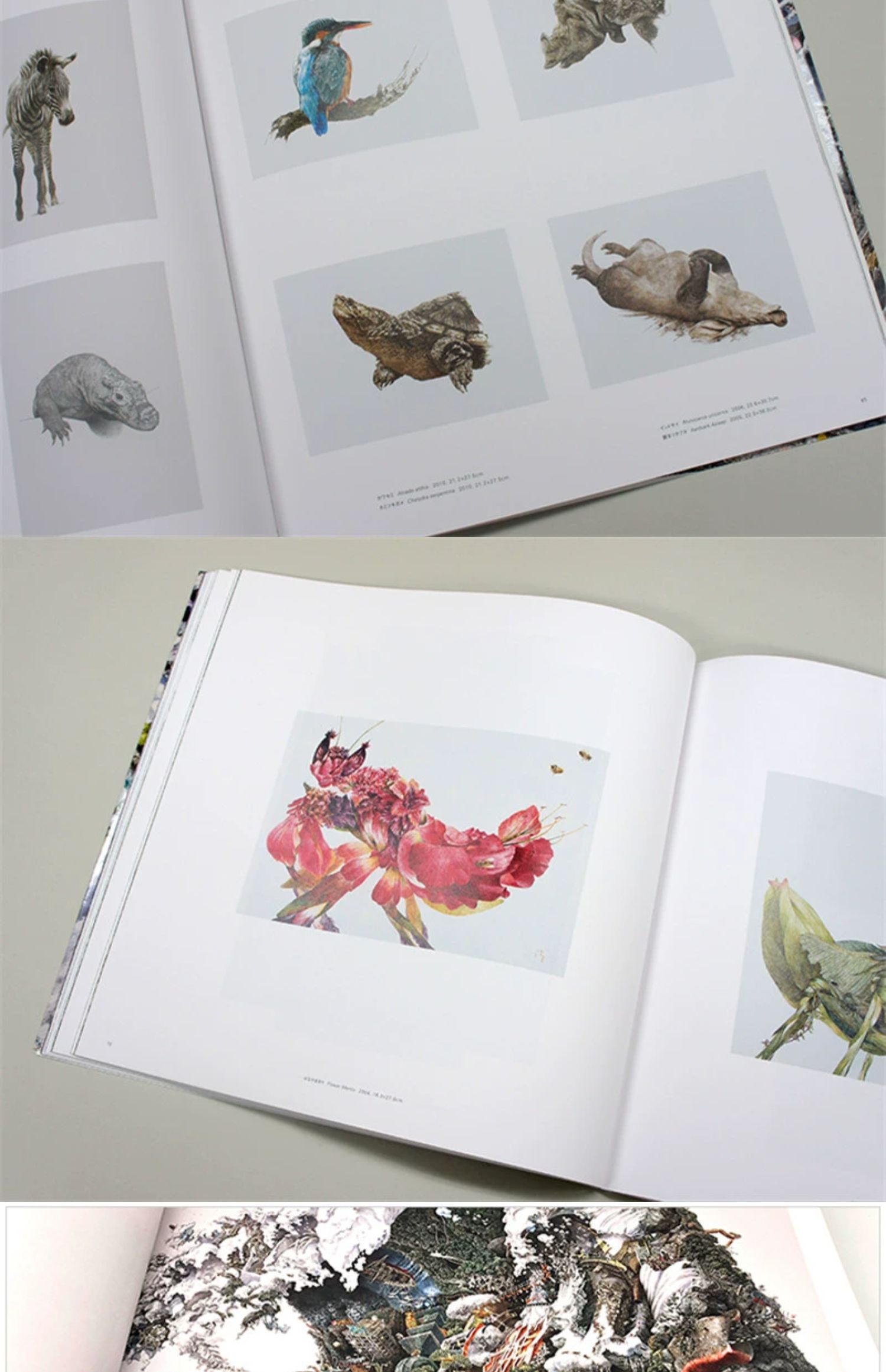 1700141116304332.jpg 详情-19.jpg