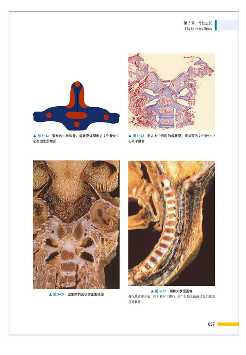 1701267228210455.jpg 书摘7.jpg