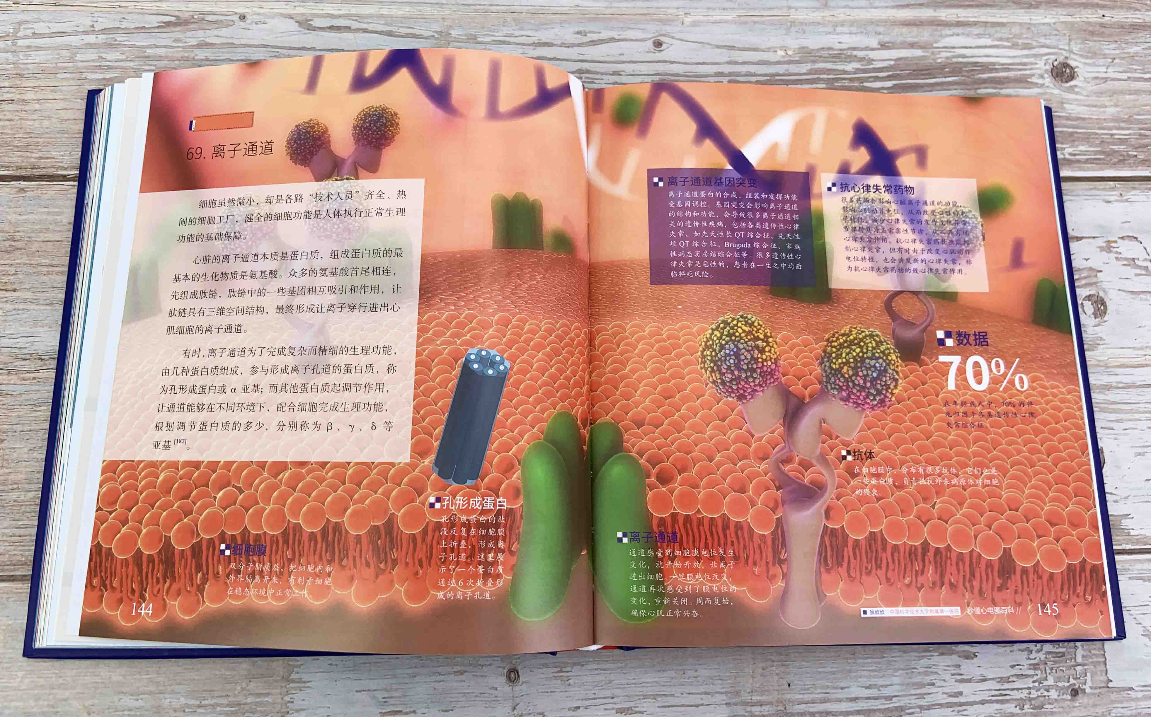 魏希進:秒懂心電圖百科(全彩) 魏希進:秒懂心電圖百科(全彩)