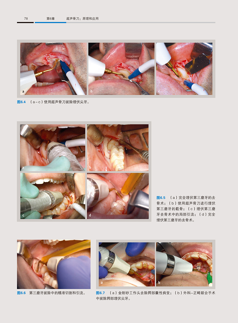 1702890583677747.jpg 详情12.jpg