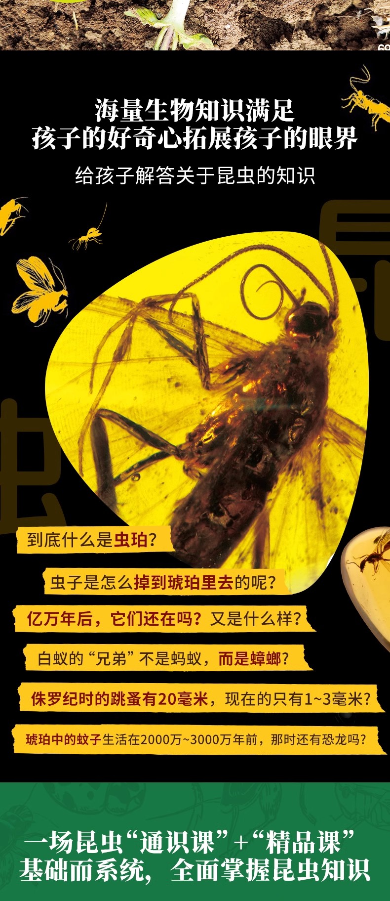 1703078883781595.jpg 详情9.jpg