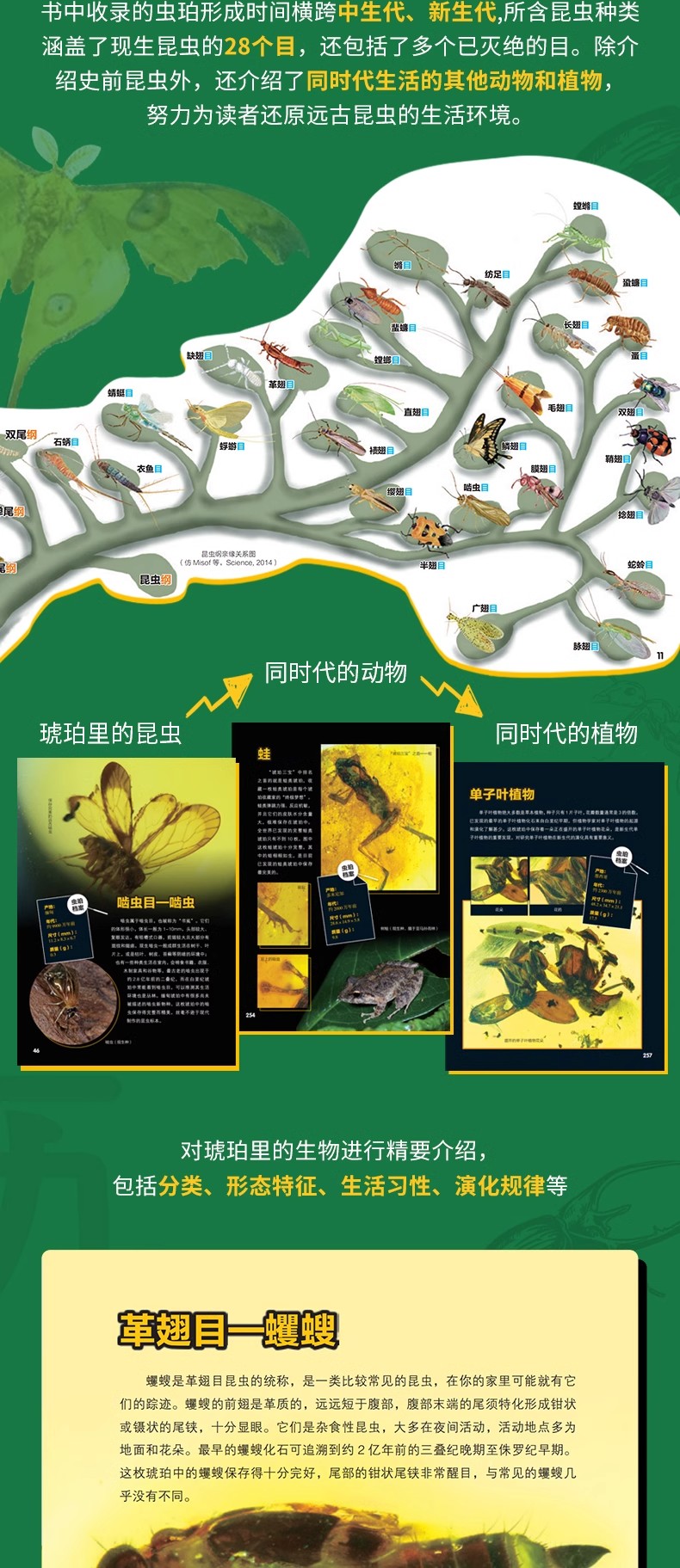 1703078888219669.jpg 详情10.jpg