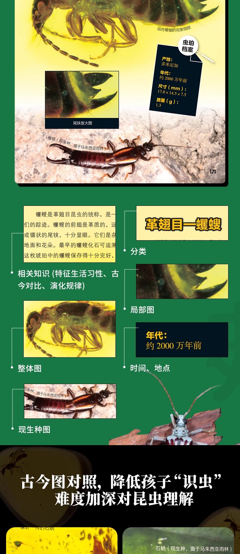 1703078893797963.jpg 详情11.jpg