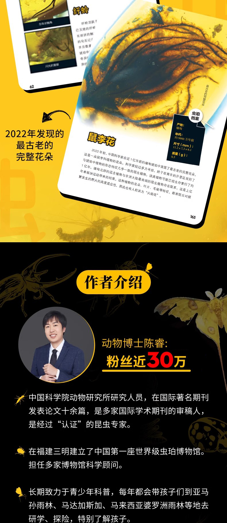 1703078996857342.jpg 详情13.jpg