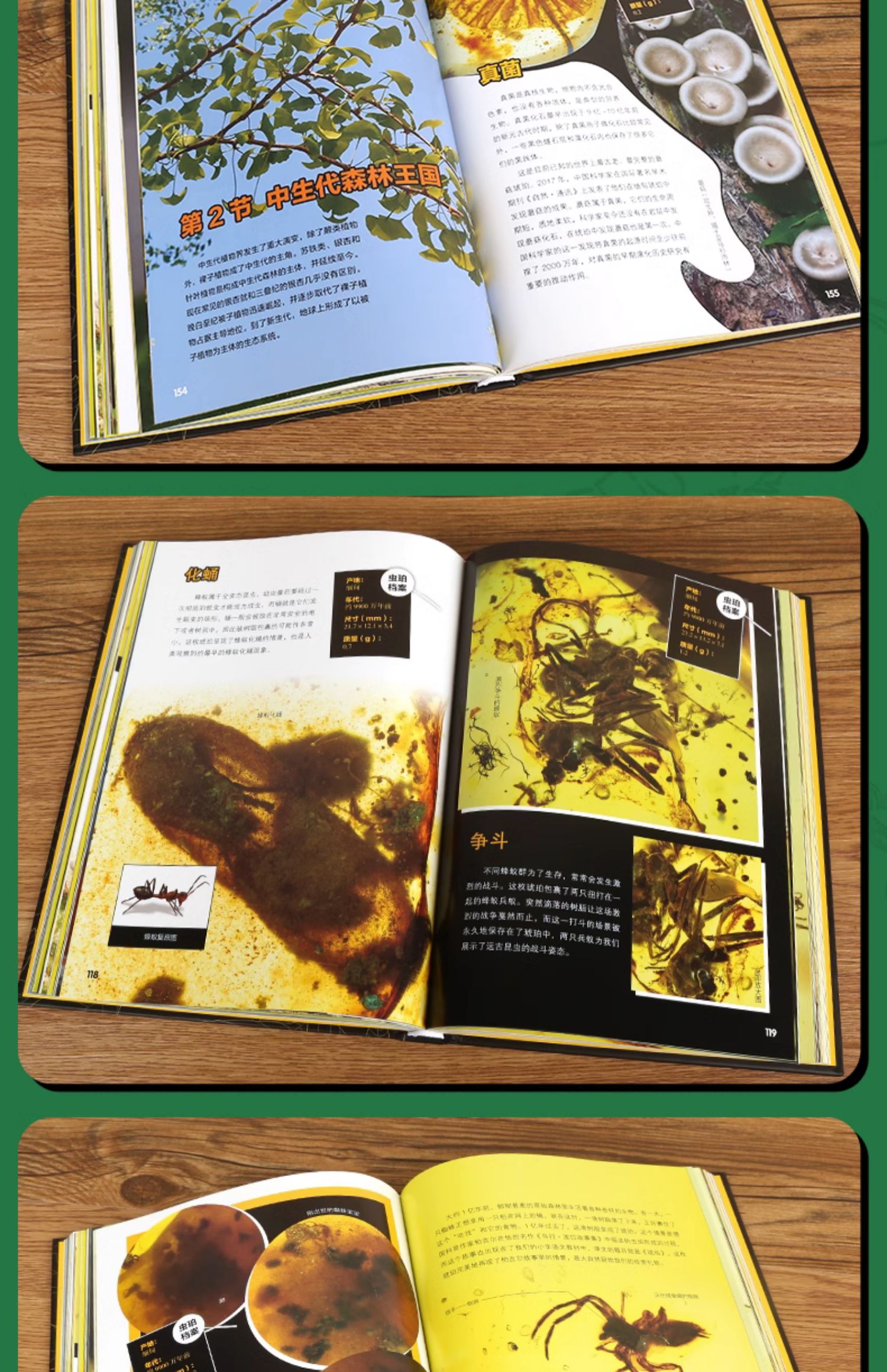 1703079056793987.jpg 详情-15.jpg