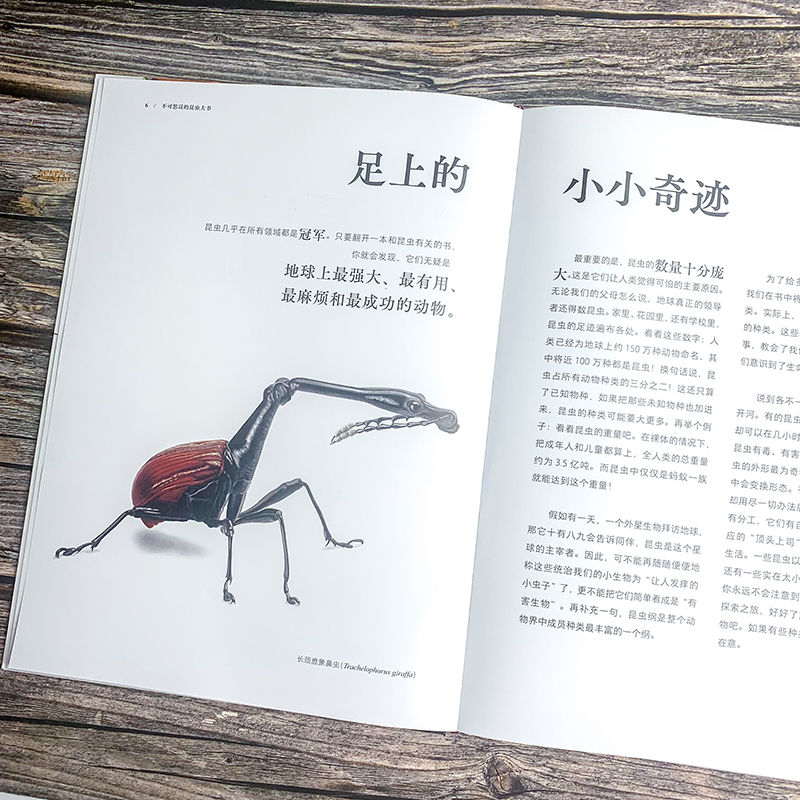 昆蟲歷史博物館+不可思議的昆蟲大書(全兩冊) 昆蟲歷史博物館+不可思議的昆蟲大書(全兩冊)