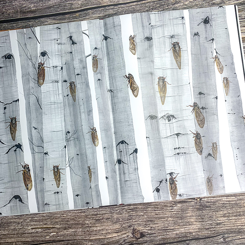 昆蟲歷史博物館+不可思議的昆蟲大書(全兩冊) 昆蟲歷史博物館+不可思議的昆蟲大書(全兩冊)