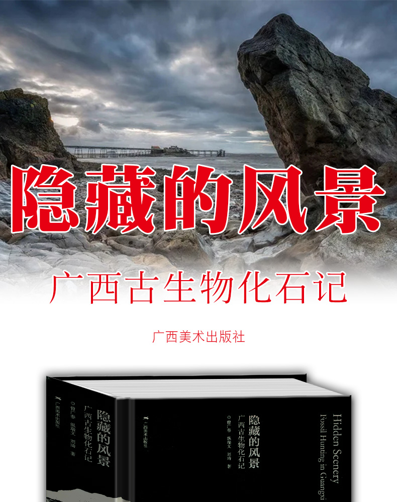 1704263080154579.jpg 详情-02.jpg