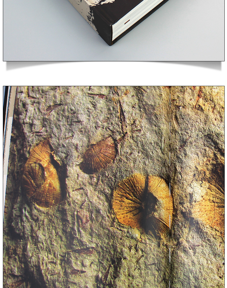 1704263129792681.jpg 详情-09.jpg