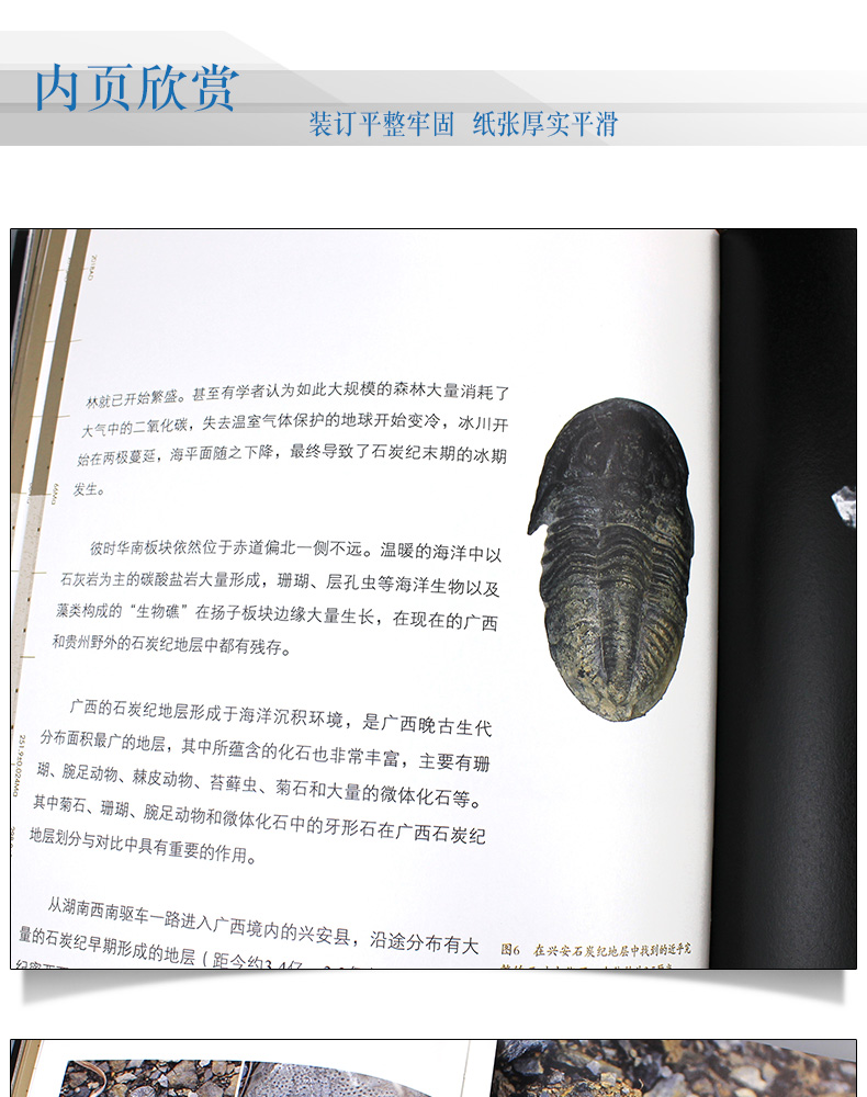 1704263145660500.jpg 详情-11.jpg