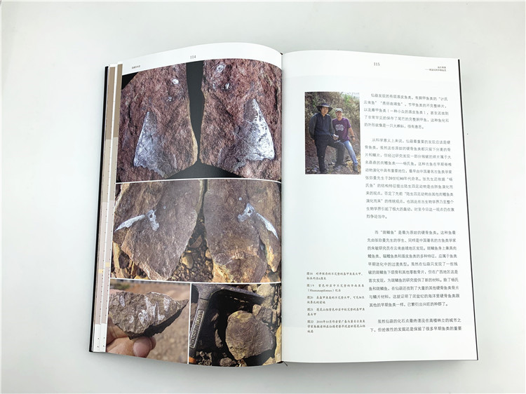 1704265493972183.jpg 书摘2.jpg