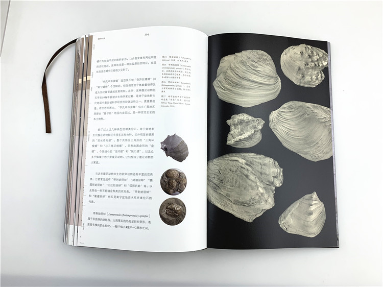 1704265512815465.jpg 书摘7.jpg