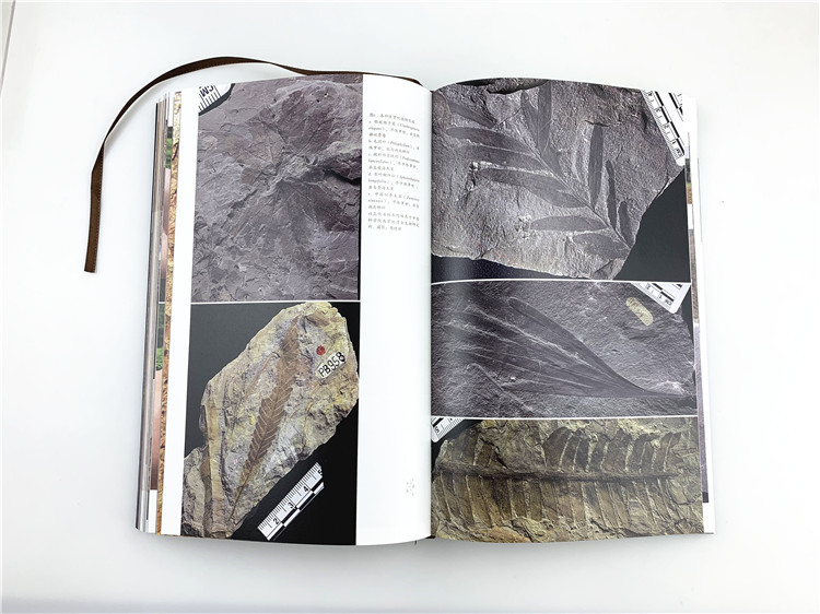 1704265517328400.jpg 书摘8.jpg