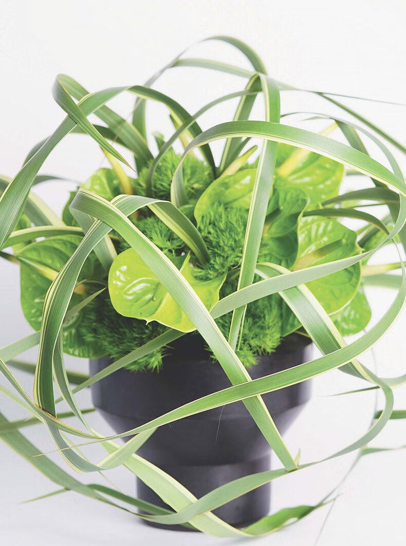 1710418570412488.jpg 书摘18.jpg