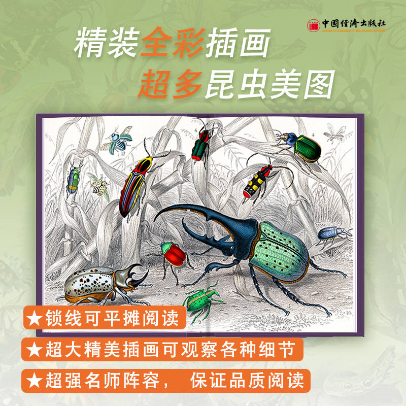 法布爾:昆蟲記(美繪精裝版)+植物記:手繪珍藏版(共四冊) 法布爾:昆蟲記(美繪精裝版)+植物記:手繪珍藏版(共四冊)