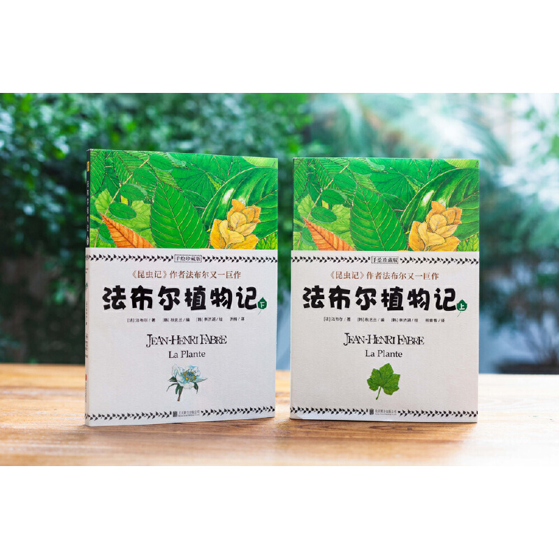 法布爾:昆蟲記(美繪精裝版)+植物記:手繪珍藏版(共四冊) 法布爾:昆蟲記(美繪精裝版)+植物記:手繪珍藏版(共四冊)