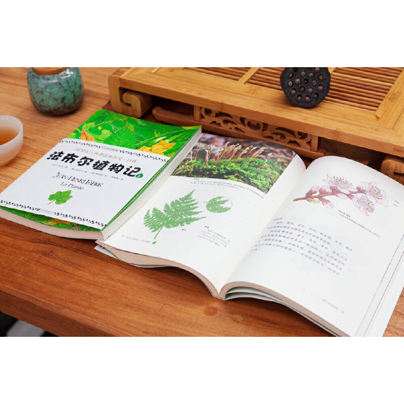 法布爾:昆蟲記(美繪精裝版)+植物記:手繪珍藏版(共四冊) 法布爾:昆蟲記(美繪精裝版)+植物記:手繪珍藏版(共四冊)