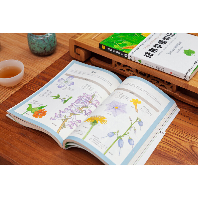 法布爾:昆蟲記(美繪精裝版)+植物記:手繪珍藏版(共四冊) 法布爾:昆蟲記(美繪精裝版)+植物記:手繪珍藏版(共四冊)