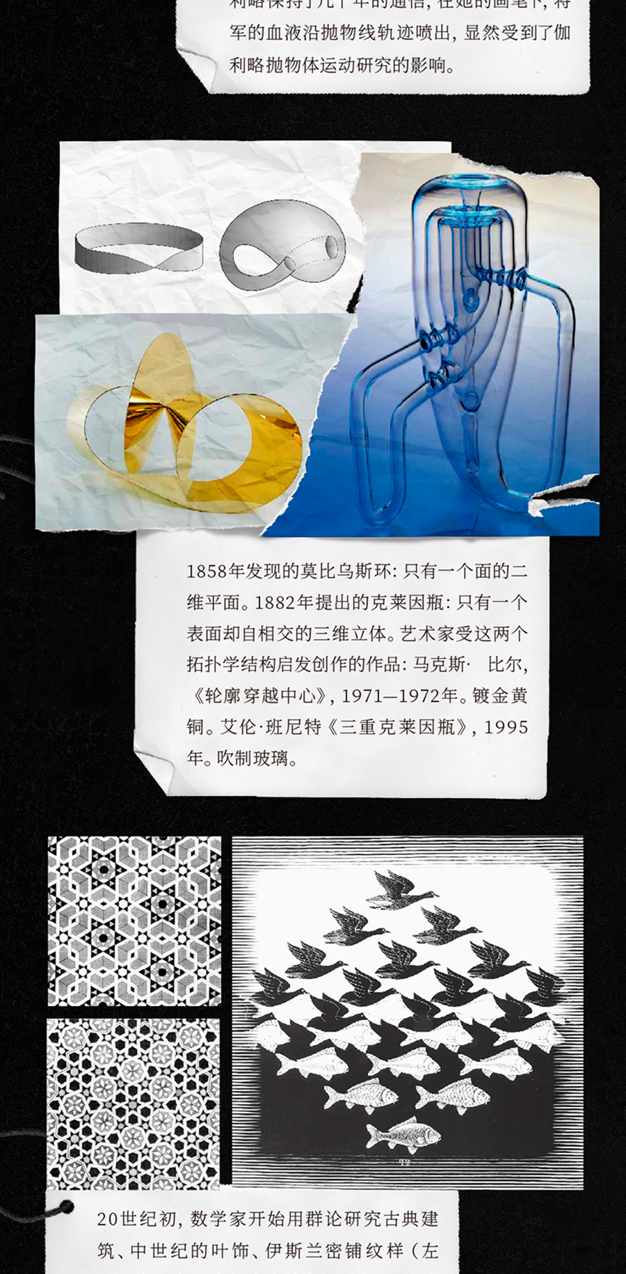 1713272804245315.jpg 详情7.jpg