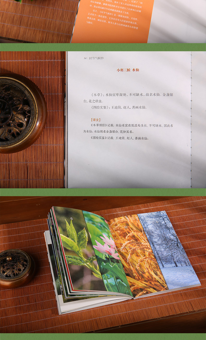 1718976233110484.jpg 详情9.jpg