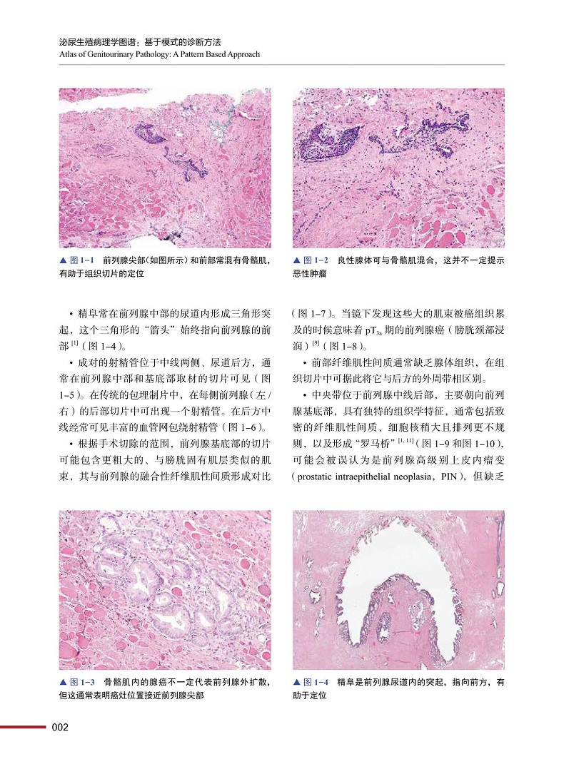 1718981967321180.jpg 详情-02.jpg