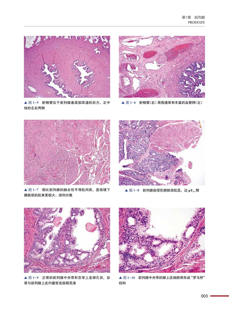 1718981972416642.jpg 详情-03.jpg