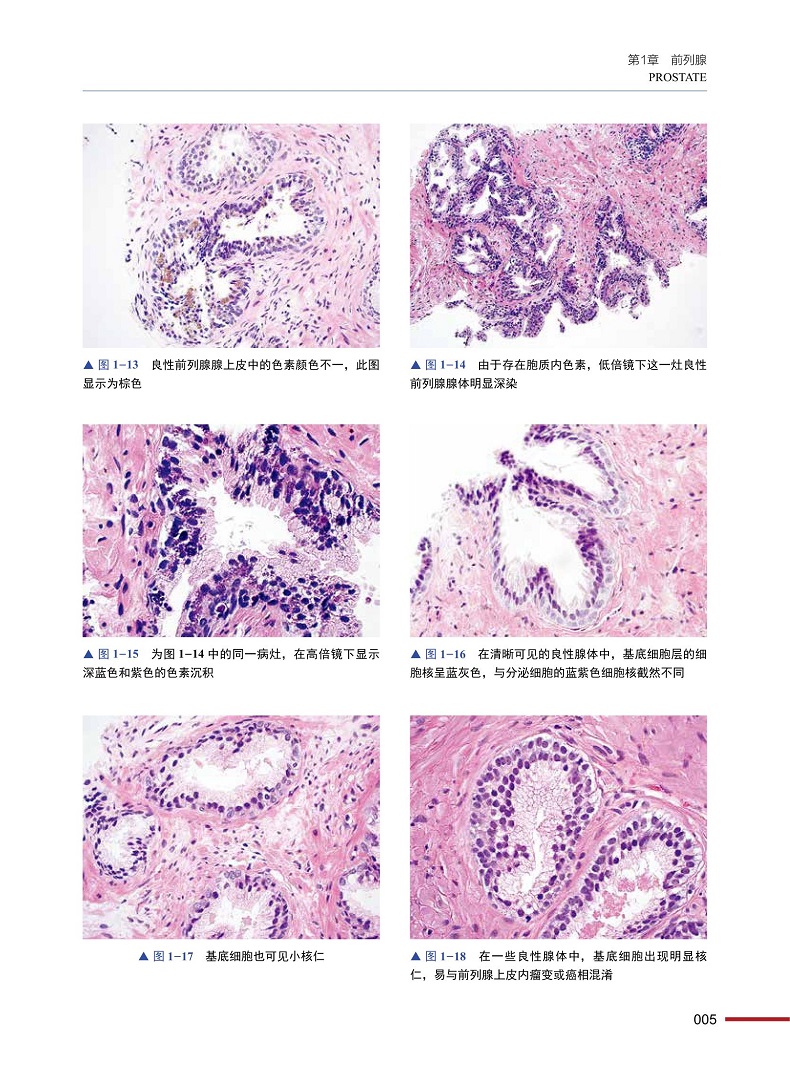 1718981985549944.jpg 详情-05.jpg