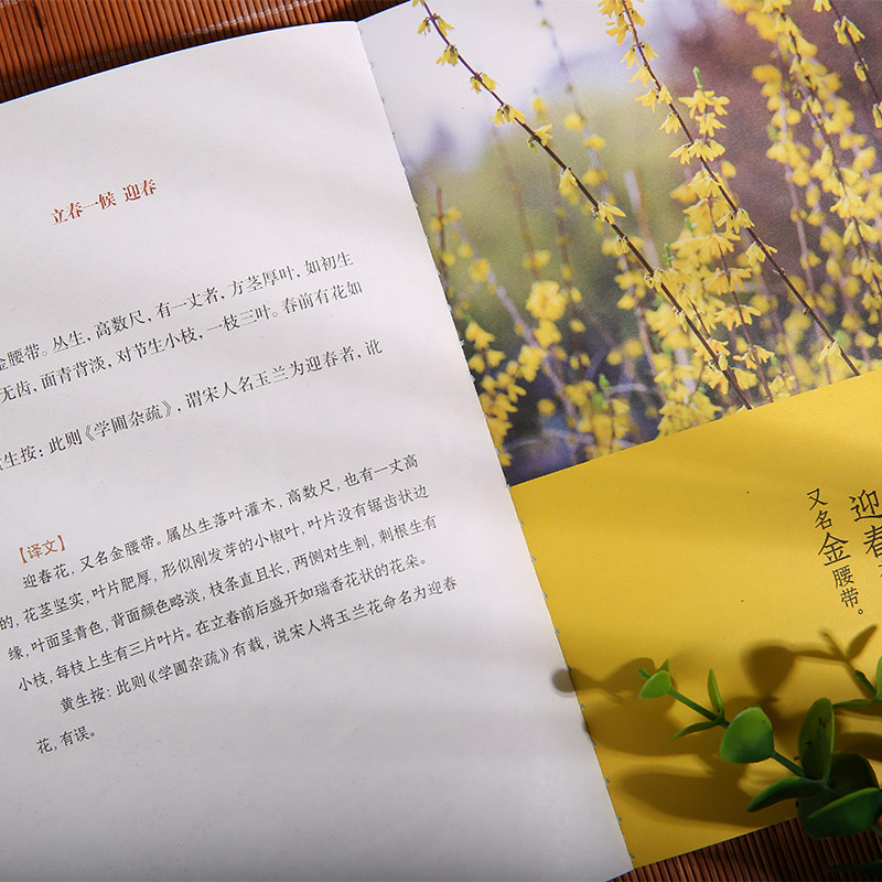 2024新書推薦:時節氣候抄(全4冊)一部關於二十四節氣文化的百科 2024新書推薦:時節氣候抄(全4冊)一部關於二十四節氣文化的百科