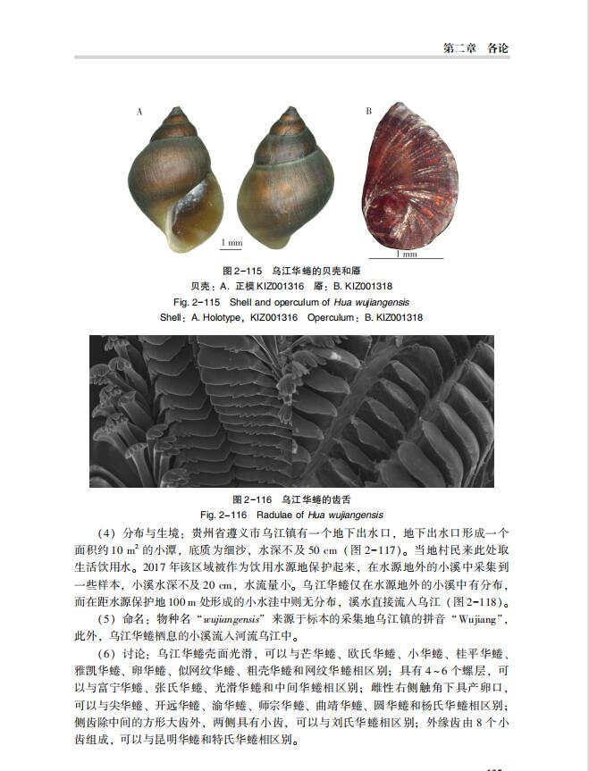 1722000811475071.jpg 详情1.jpg