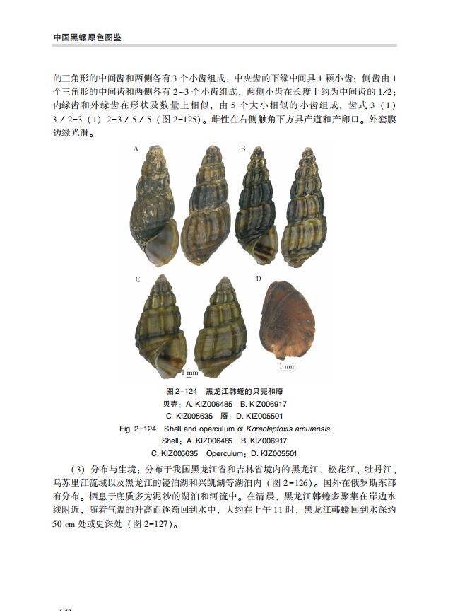 1722000875587228.jpg 详情8.jpg