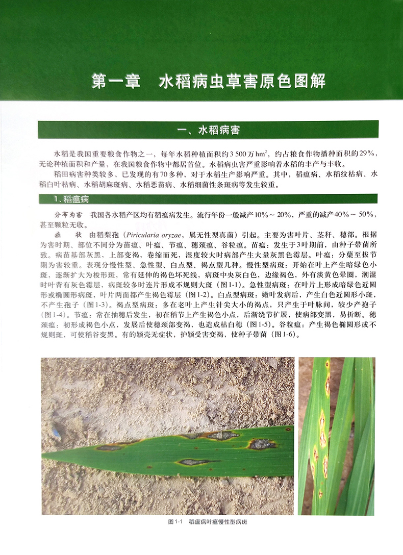 1727100051528810.jpg 详情1.jpg