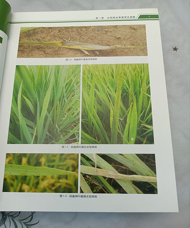 1727100361541934.jpg 实拍2.jpg