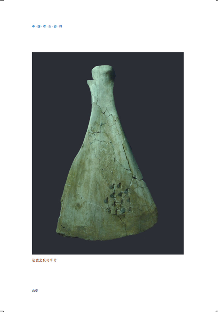 1733492092140895.jpg 详情22.jpg