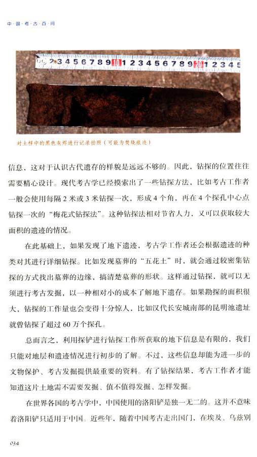 1733492302525138.jpg 详情21.jpg