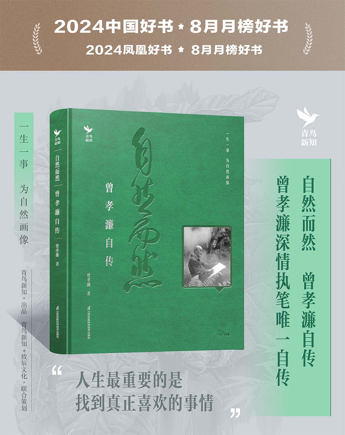 1733573620275619.png 详情31.png