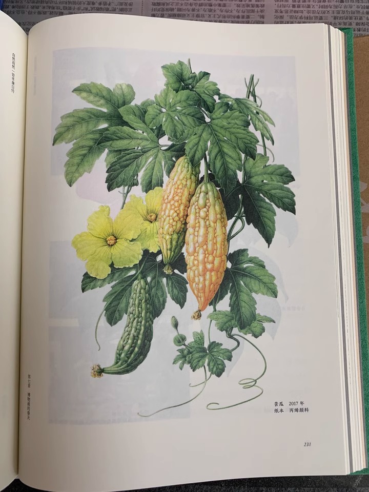 1733574948237923.jpeg 实拍4.jpeg