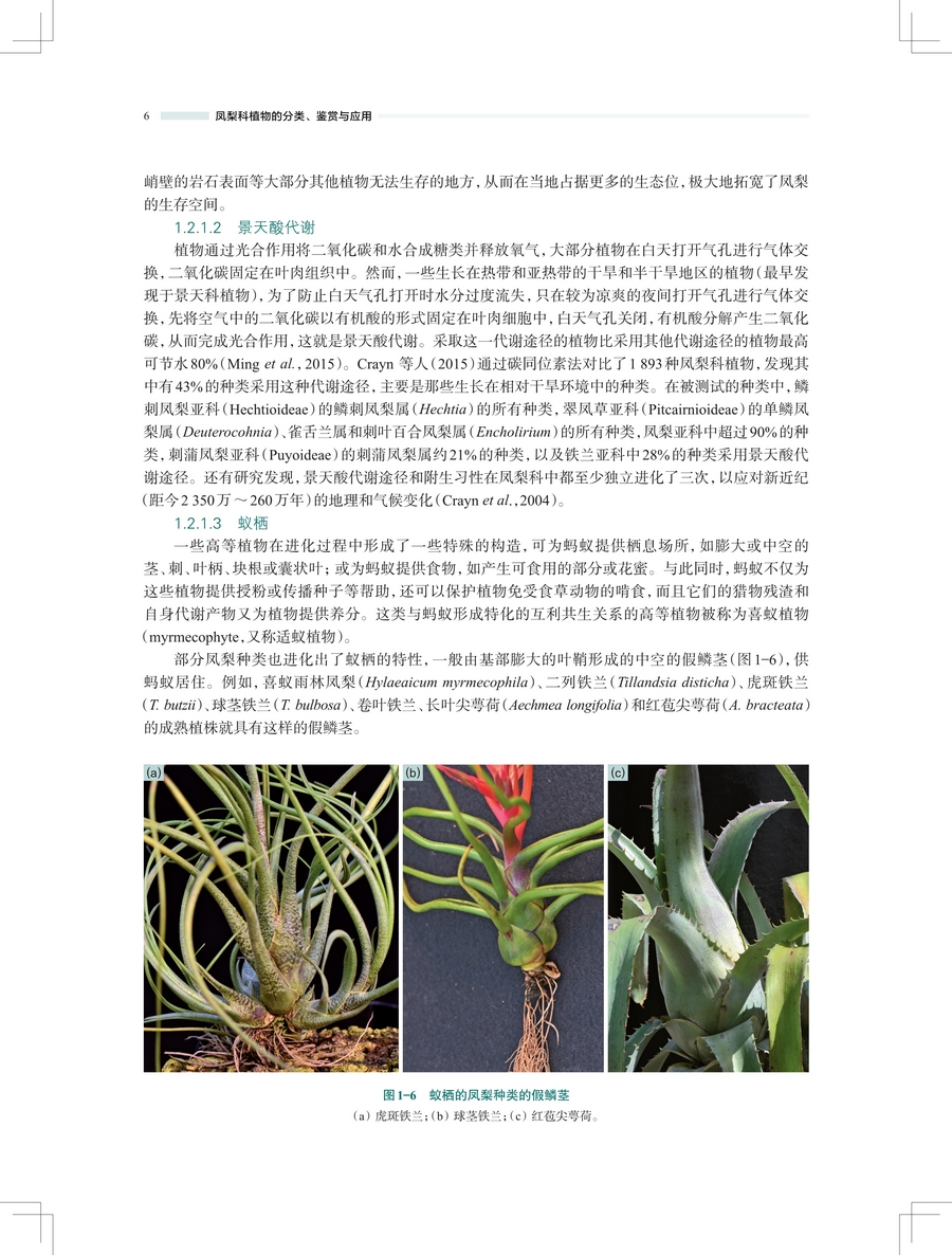 1743565796789995.jpg 详情6.jpg