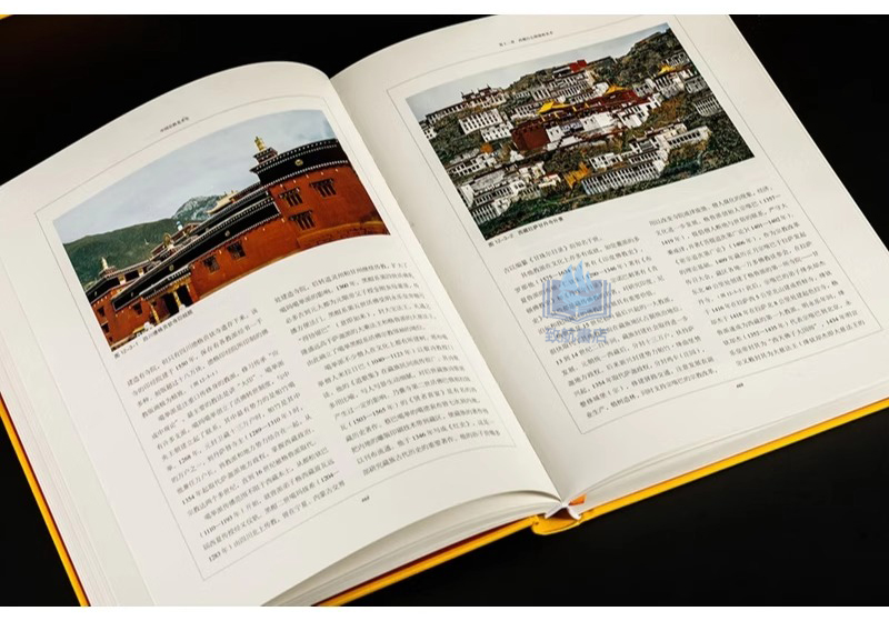 1750590252510527.jpeg 实拍7.jpeg