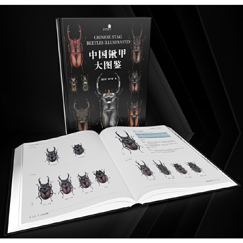 2025年新書推薦:【中國鍬甲大圖鑒】 2025年新書推薦:【中國鍬甲大圖鑒】