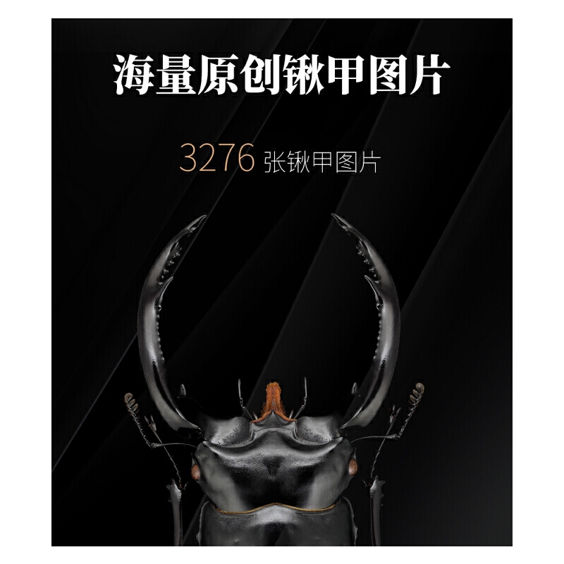 2025年新書推薦:【中國鍬甲大圖鑒】 2025年新書推薦:【中國鍬甲大圖鑒】