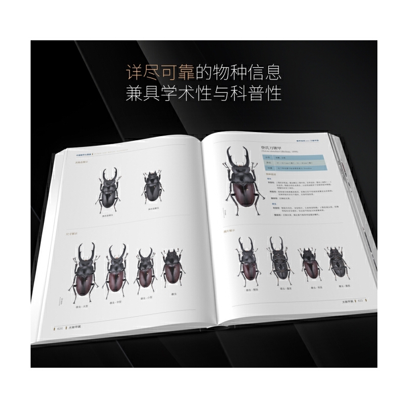 2025年新書推薦:【中國鍬甲大圖鑒】 2025年新書推薦:【中國鍬甲大圖鑒】