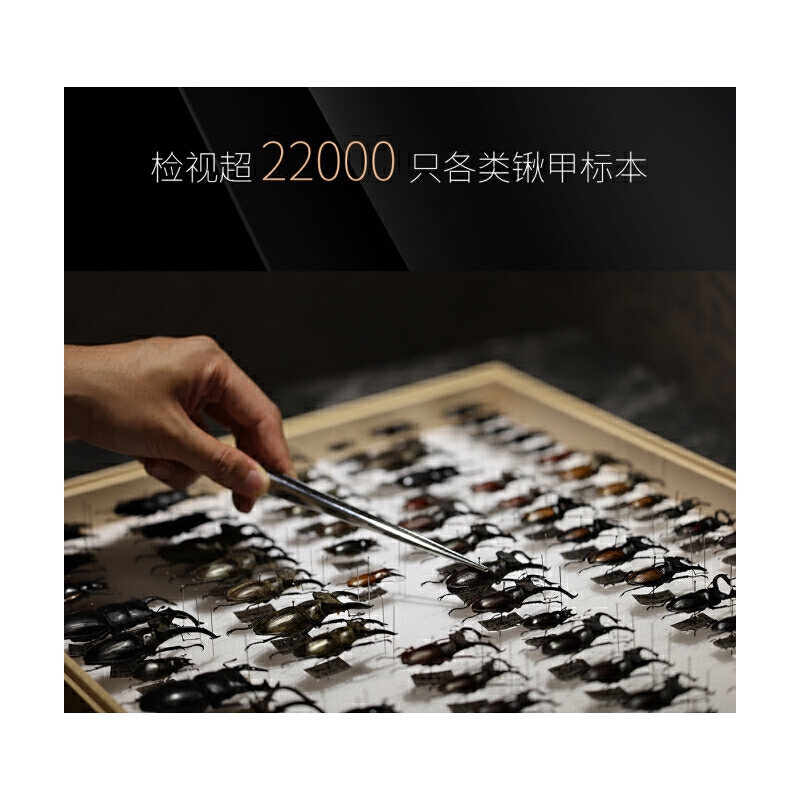 2025年新書推薦:【中國鍬甲大圖鑒】 2025年新書推薦:【中國鍬甲大圖鑒】