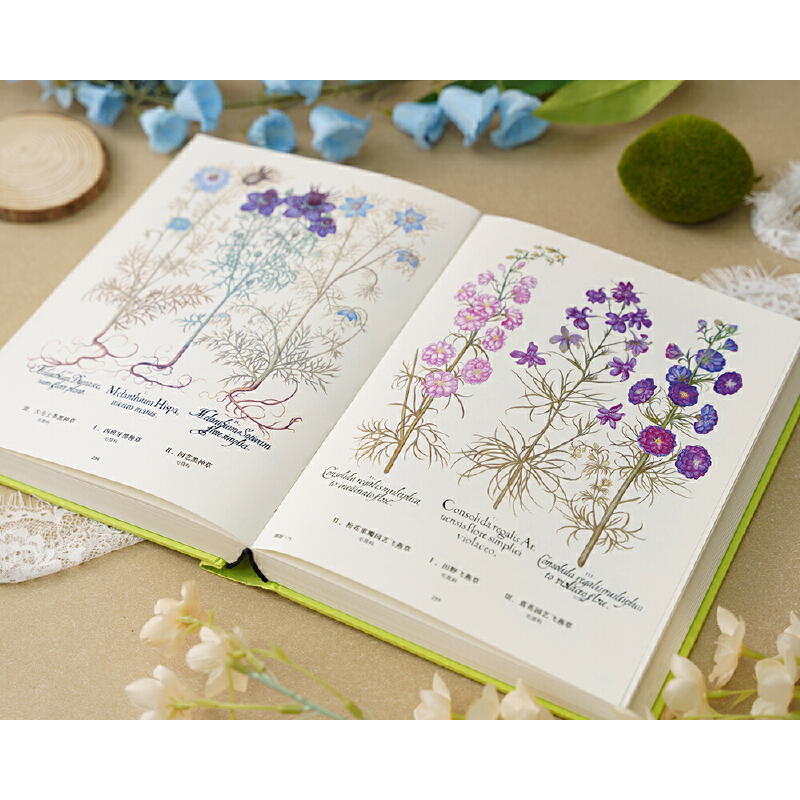 2025新書推薦：【植物聖經】（法國國家自然歷史博物館典藏全彩復刻，跨越400年的科學與藝術瑰寶，一部改寫人類植物認知的里程碑式巨作）