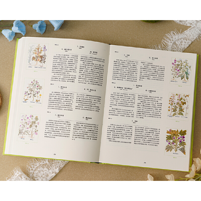 2025新書推薦：【植物聖經】（法國國家自然歷史博物館典藏全彩復刻，跨越400年的科學與藝術瑰寶，一部改寫人類植物認知的里程碑式巨作）