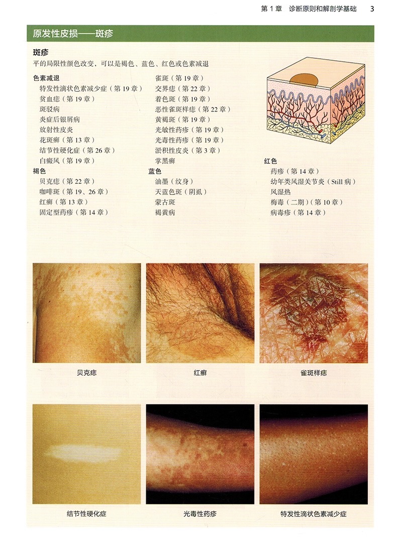 1765616670929179.jpeg 详情9.jpeg