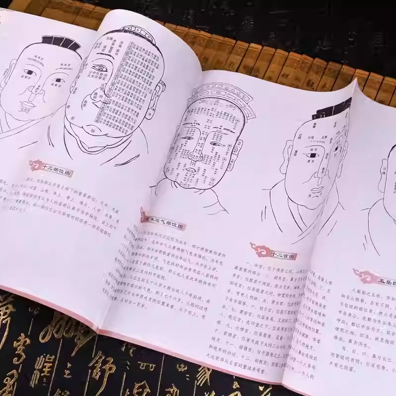 神相鐵關刀+神相全編+柳庄神相+圖解麻衣神相+水鏡神相（全5冊）