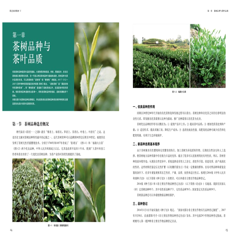 【茶藝培訓教材】全5冊 【茶藝培訓教材】全5冊